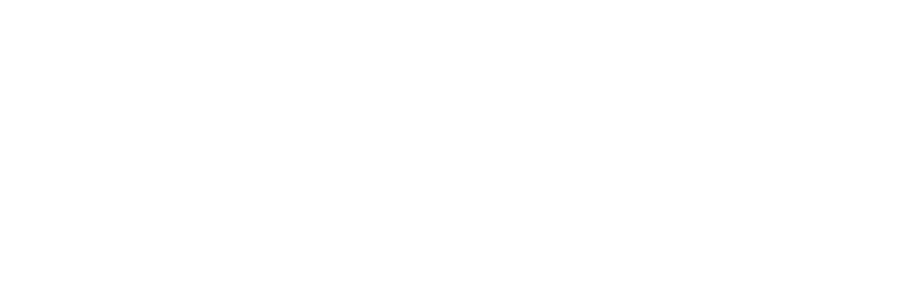 Ryzer